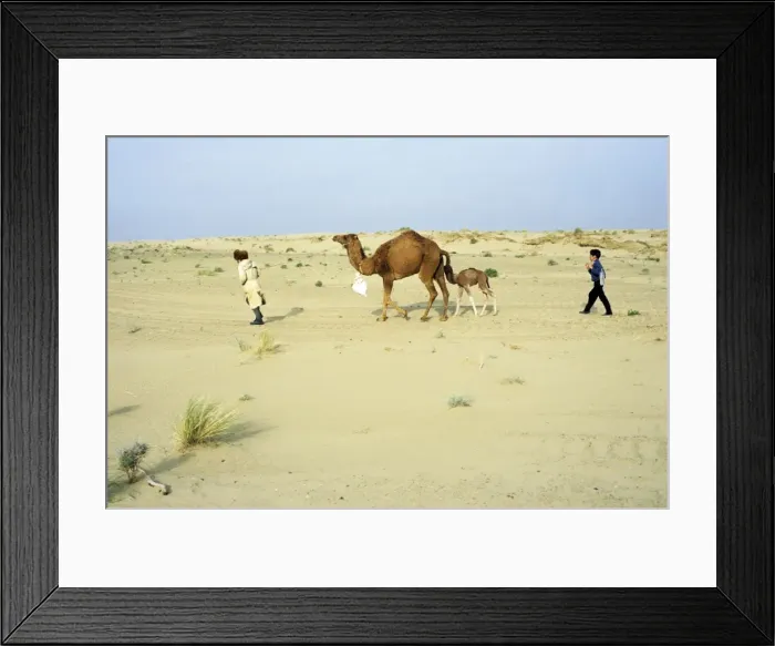 Framed Print : Picture No. 10876902 Framed Print : Picture No. 10876902