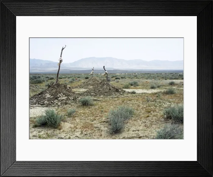 Framed Print : Picture No. 10876897 Framed Print : Picture No. 10876897