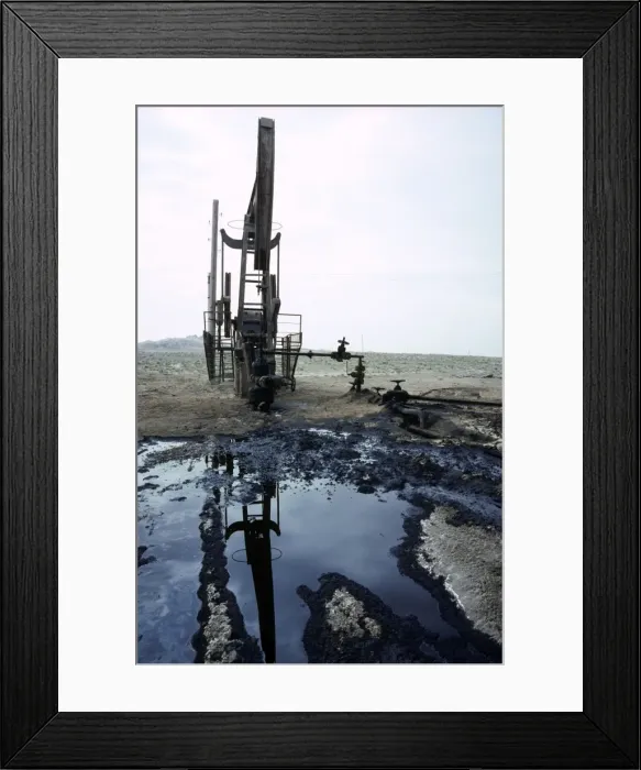 Framed Print : Picture No. 10876901 Framed Print : Picture No. 10876901