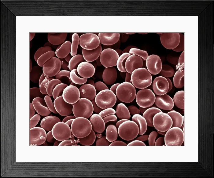 Framed Print : Picture No. 10876986 Framed Print : Picture No. 10876986