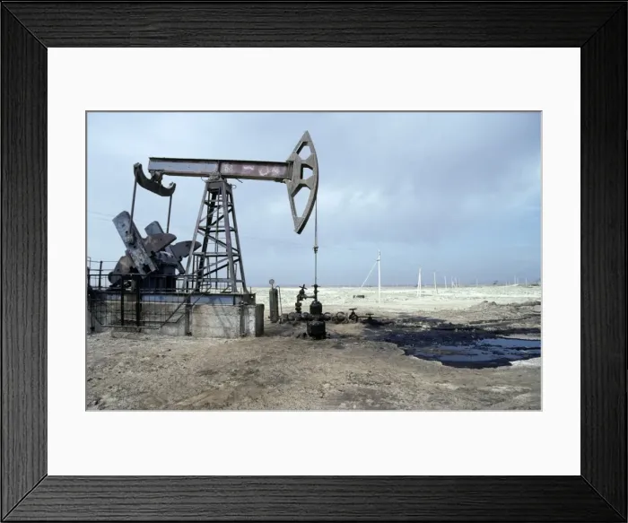 Framed Print : Picture No. 10876903 Framed Print : Picture No. 10876903