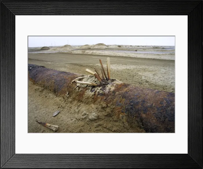 Framed Print : Picture No. 10876904