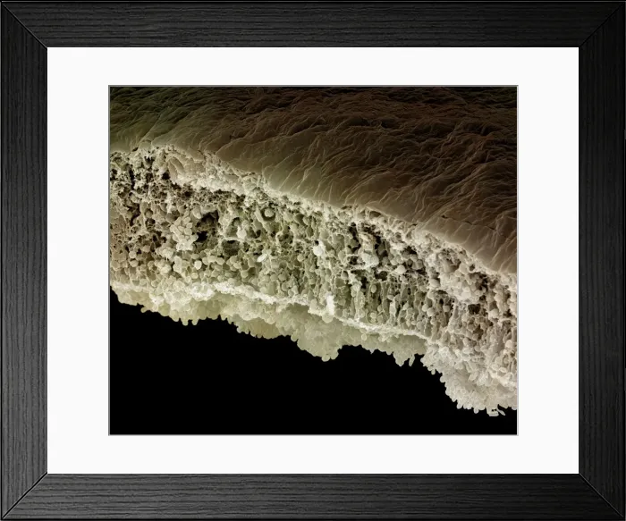 Framed Print : Picture No. 10876994 Framed Print : Picture No. 10876994