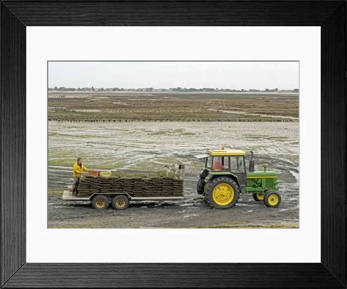 Framed Print : Picture No. 10871050 Framed Print : Picture No. 10871050