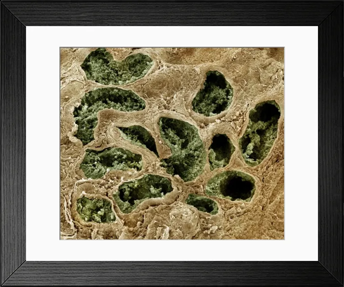 Framed Print : Picture No. 10876991 Framed Print : Picture No. 10876991