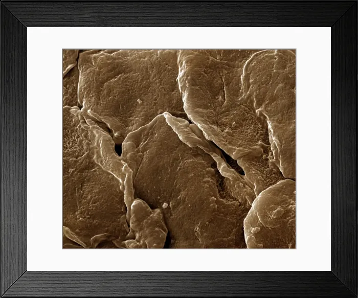 Framed Print : Picture No. 10877001 Framed Print : Picture No. 10877001
