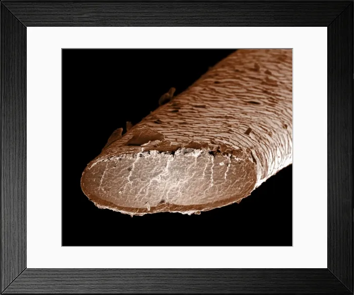 Framed Print : Picture No. 10877006 Framed Print : Picture No. 10877006