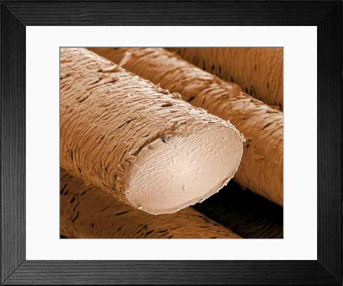 Framed Print : Picture No. 10877004 Framed Print : Picture No. 10877004