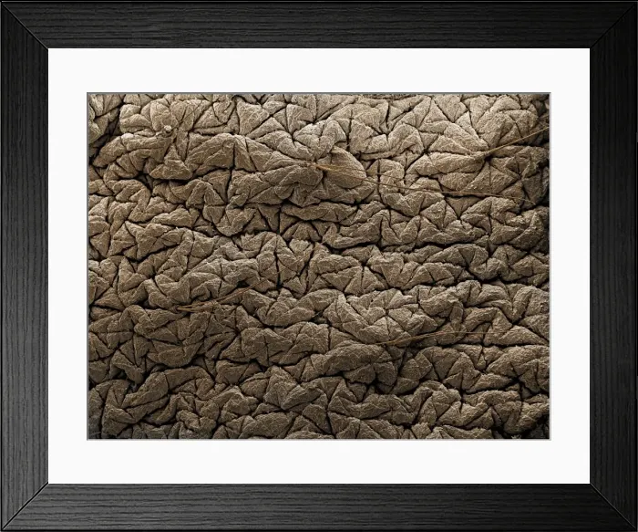 Framed Print : Picture No. 10876998 Framed Print : Picture No. 10876998