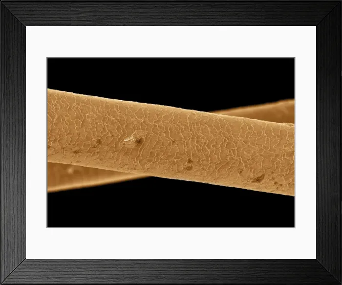 Framed Print : Picture No. 10877007 Framed Print : Picture No. 10877007