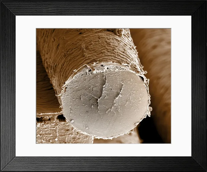 Framed Print : Picture No. 10877005 Framed Print : Picture No. 10877005