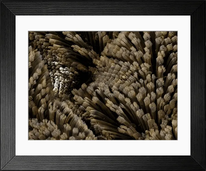 Framed Print : Picture No. 10877014 Framed Print : Picture No. 10877014