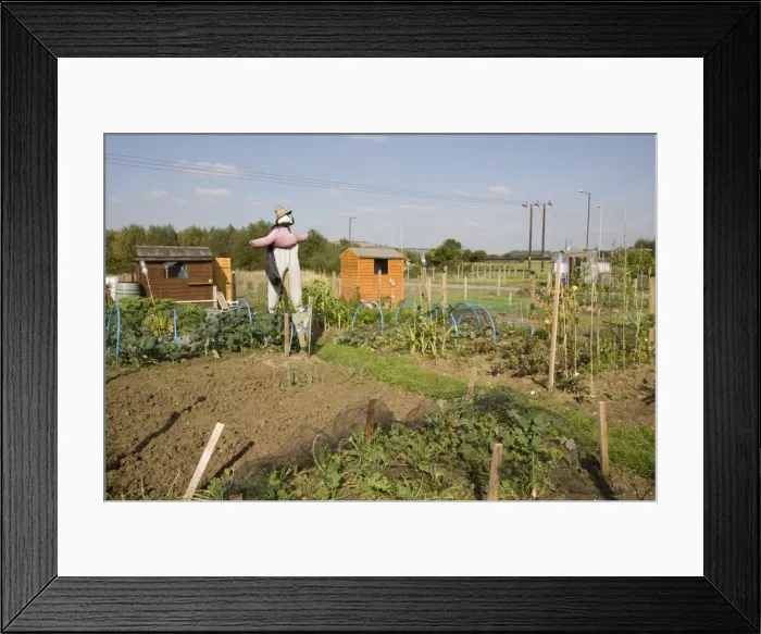 Framed Print : Picture No. 10877081 Framed Print : Picture No. 10877081