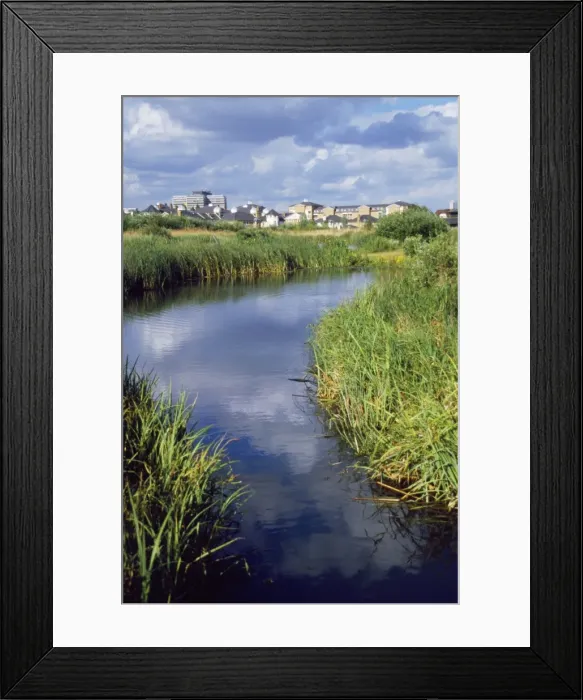 Framed Print : Picture No. 10877039 Framed Print : Picture No. 10877039