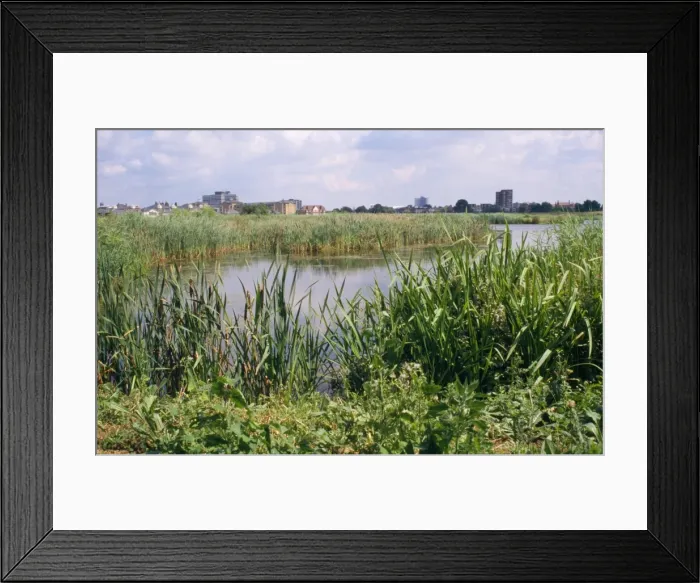 Framed Print : Picture No. 10877038 Framed Print : Picture No. 10877038