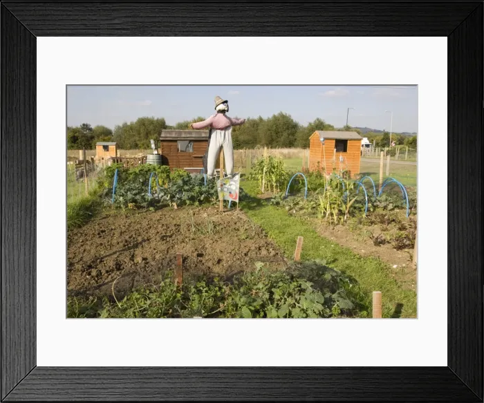 Framed Print : Picture No. 10877082 Framed Print : Picture No. 10877082