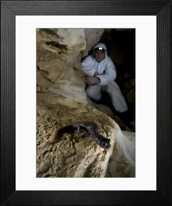 Framed Print : Picture No. 10877782 Framed Print : Picture No. 10877782