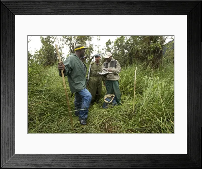 Framed Print : Picture No. 10878319 Framed Print : Picture No. 10878319