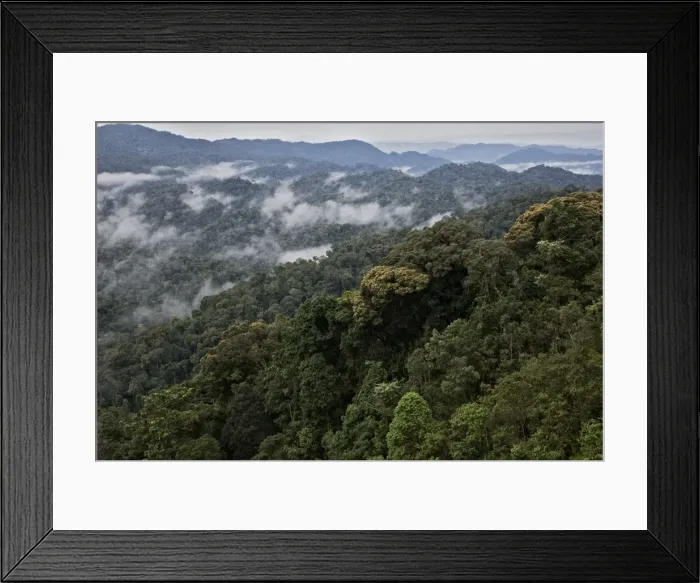 Framed Print : Picture No. 10878387 Framed Print : Picture No. 10878387