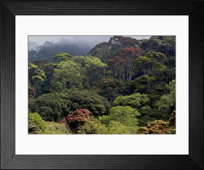 Framed Print : Picture No. 10878395 Framed Print : Picture No. 10878395
