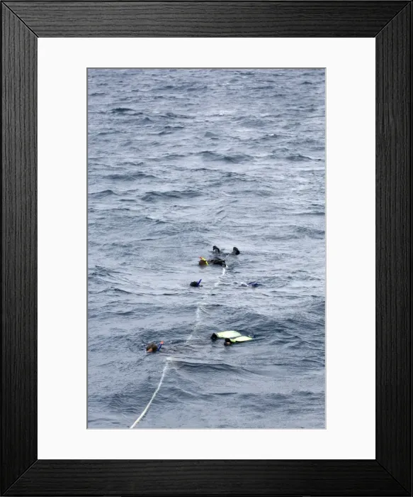 Framed Print : Picture No. 10878459 Framed Print : Picture No. 10878459