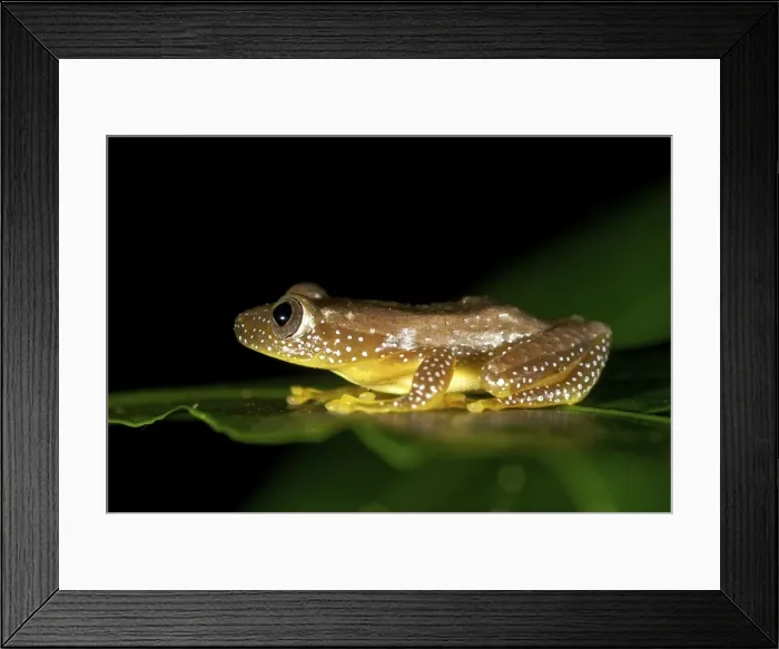 Framed Print : Picture No. 10878406 Framed Print : Picture No. 10878406