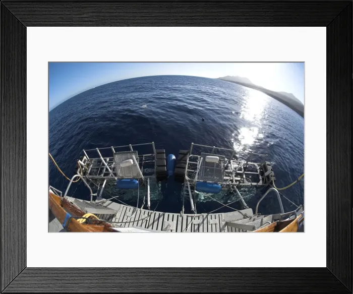 Framed Print : Picture No. 10878505 Framed Print : Picture No. 10878505