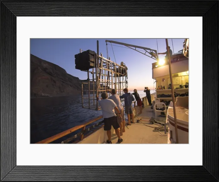 Framed Print : Picture No. 10878507 Framed Print : Picture No. 10878507