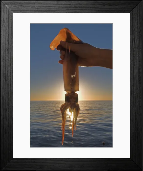Framed Print : Picture No. 10878508 Framed Print : Picture No. 10878508