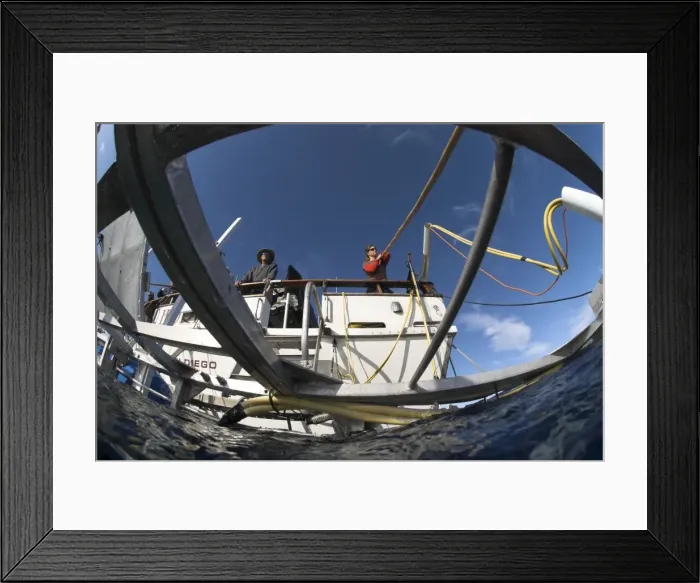 Framed Print : Picture No. 10878509