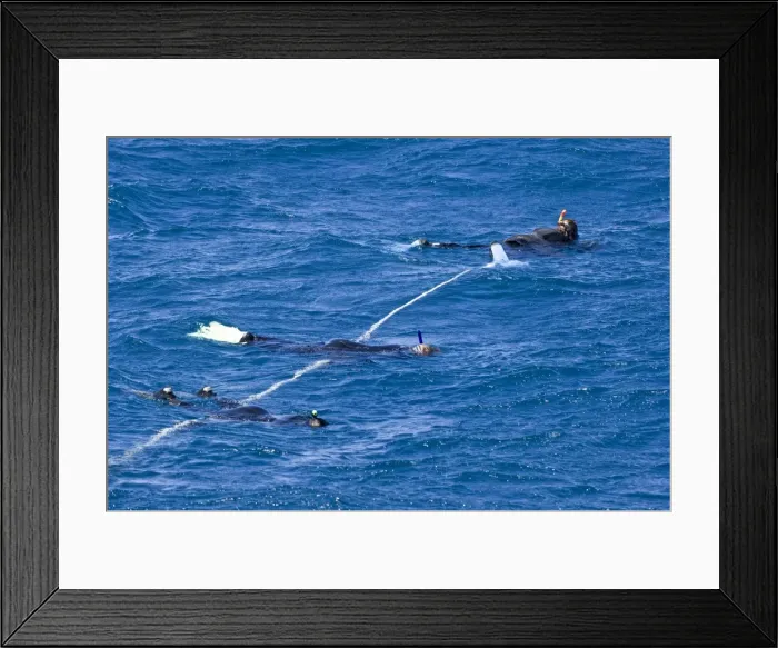 Framed Print : Picture No. 10878465 Framed Print : Picture No. 10878465