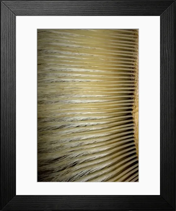 Framed Print : Picture No. 10878543