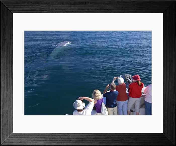 Framed Print : Picture No. 10878569