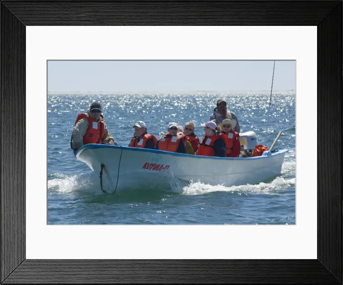 Framed Print : Picture No. 10878591