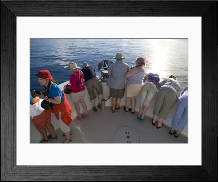 Framed Print : Picture No. 10878598 Framed Print : Picture No. 10878598