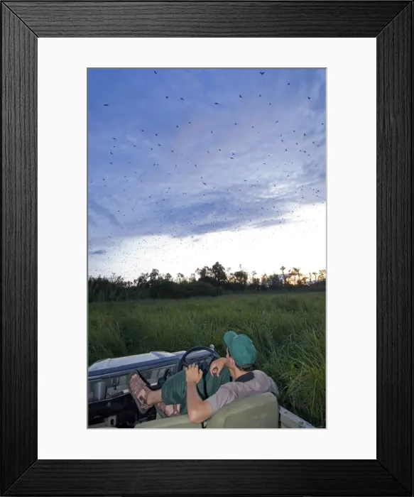 Framed Print : Picture No. 10878627 Framed Print : Picture No. 10878627