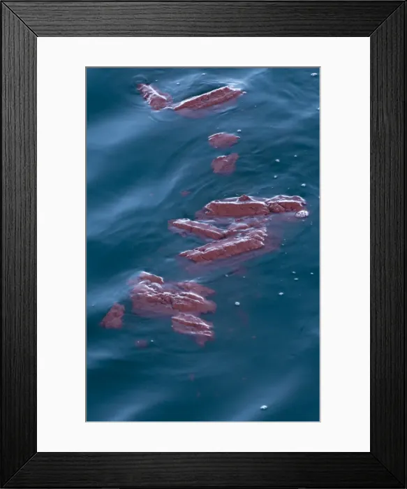 Framed Print : Picture No. 10878573 Framed Print : Picture No. 10878573