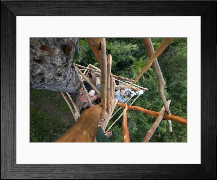 Framed Print : Picture No. 10878630 Framed Print : Picture No. 10878630