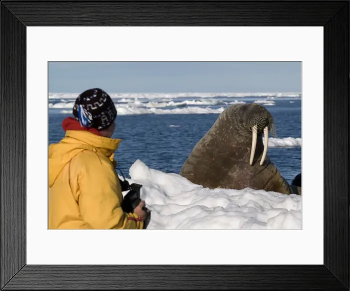 Framed Print : Picture No. 10878656 Framed Print : Picture No. 10878656