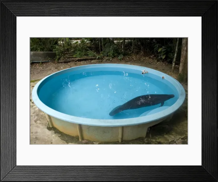 Framed Print : Picture No. 10878723 Framed Print : Picture No. 10878723