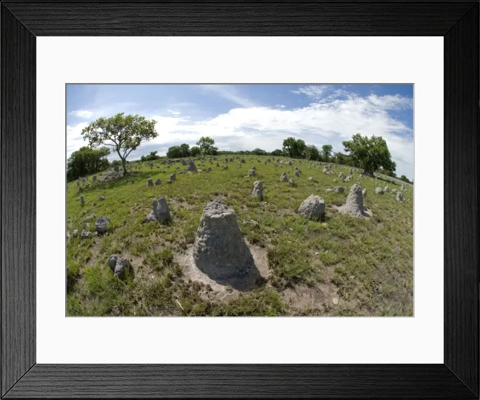 Framed Print : Picture No. 10878636 Framed Print : Picture No. 10878636