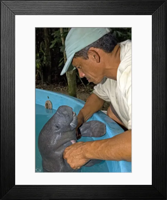 Framed Print : Picture No. 10878724 Framed Print : Picture No. 10878724