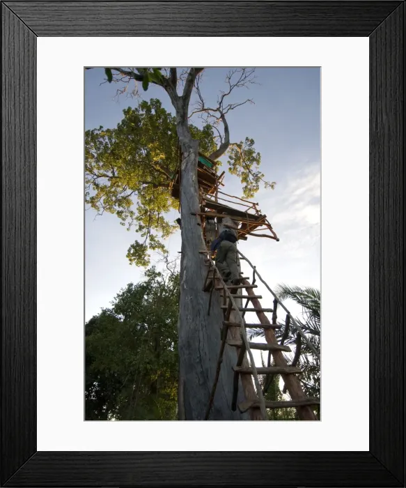 Framed Print : Picture No. 10878631 Framed Print : Picture No. 10878631