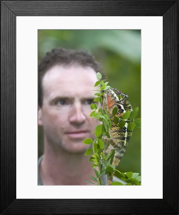 Framed Print : Picture No. 10878728 Framed Print : Picture No. 10878728
