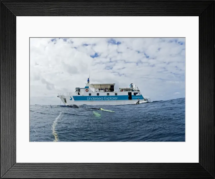 Framed Print : Picture No. 10878856 Framed Print : Picture No. 10878856
