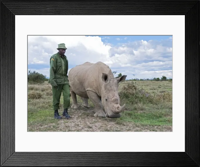 Framed Print : Picture No. 10878869