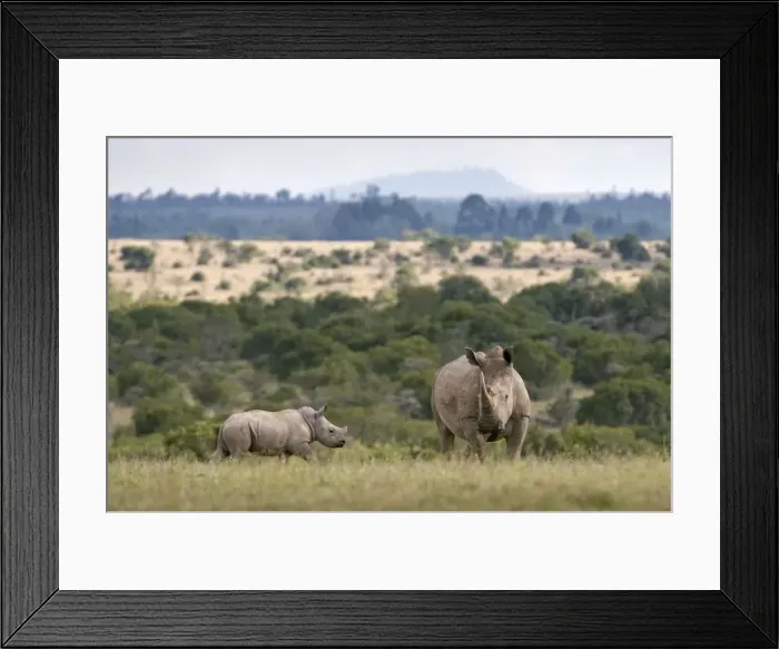 Framed Print : Picture No. 10878867 Framed Print : Picture No. 10878867