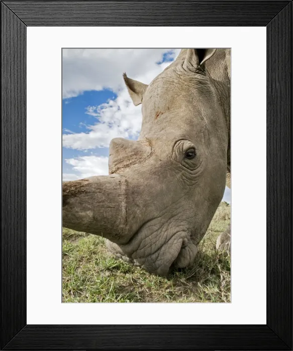 Framed Print : Picture No. 10878870 Framed Print : Picture No. 10878870