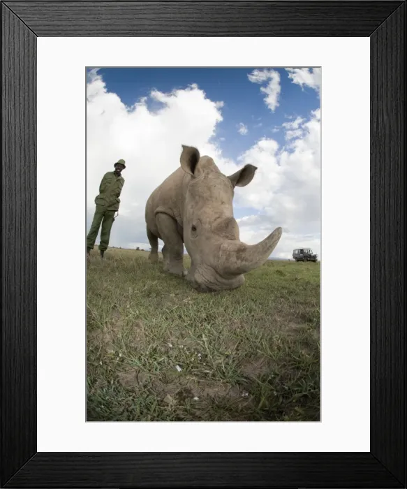 Framed Print : Picture No. 10878873 Framed Print : Picture No. 10878873