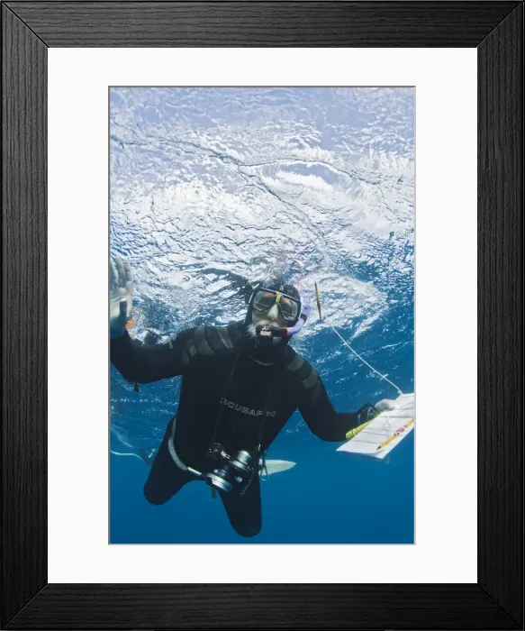 Framed Print : Picture No. 10878865 Framed Print : Picture No. 10878865